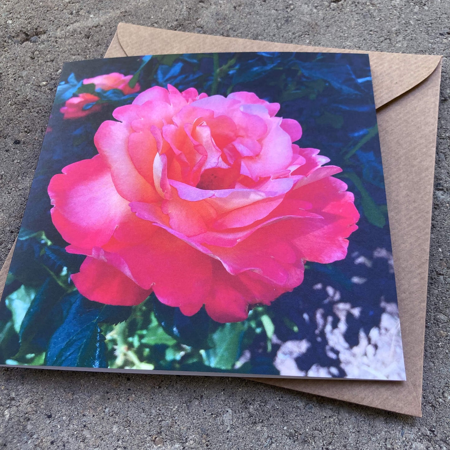 Greeting Cards Pack No.15