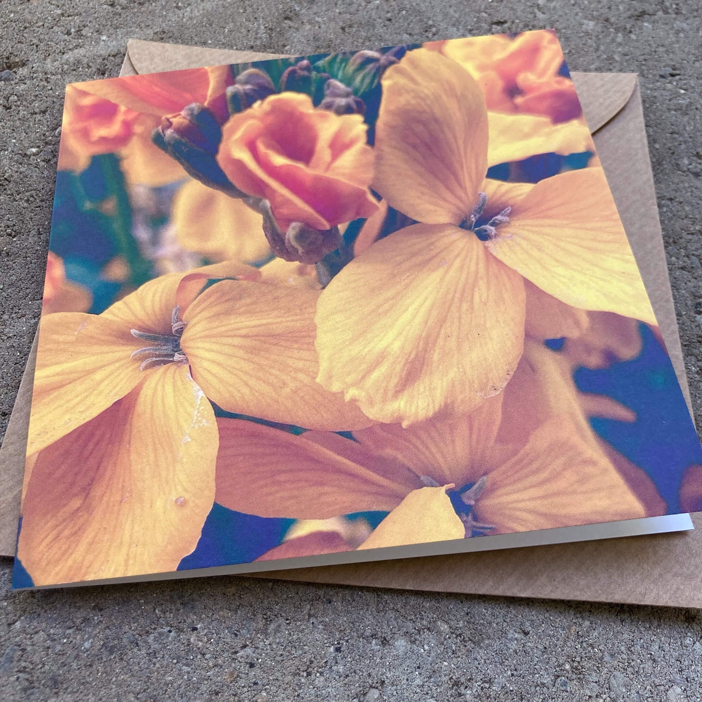 Greeting Cards Pack No. 13